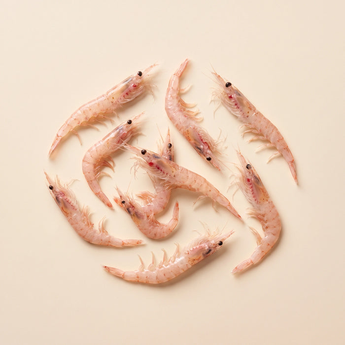 Antarctic krill oil