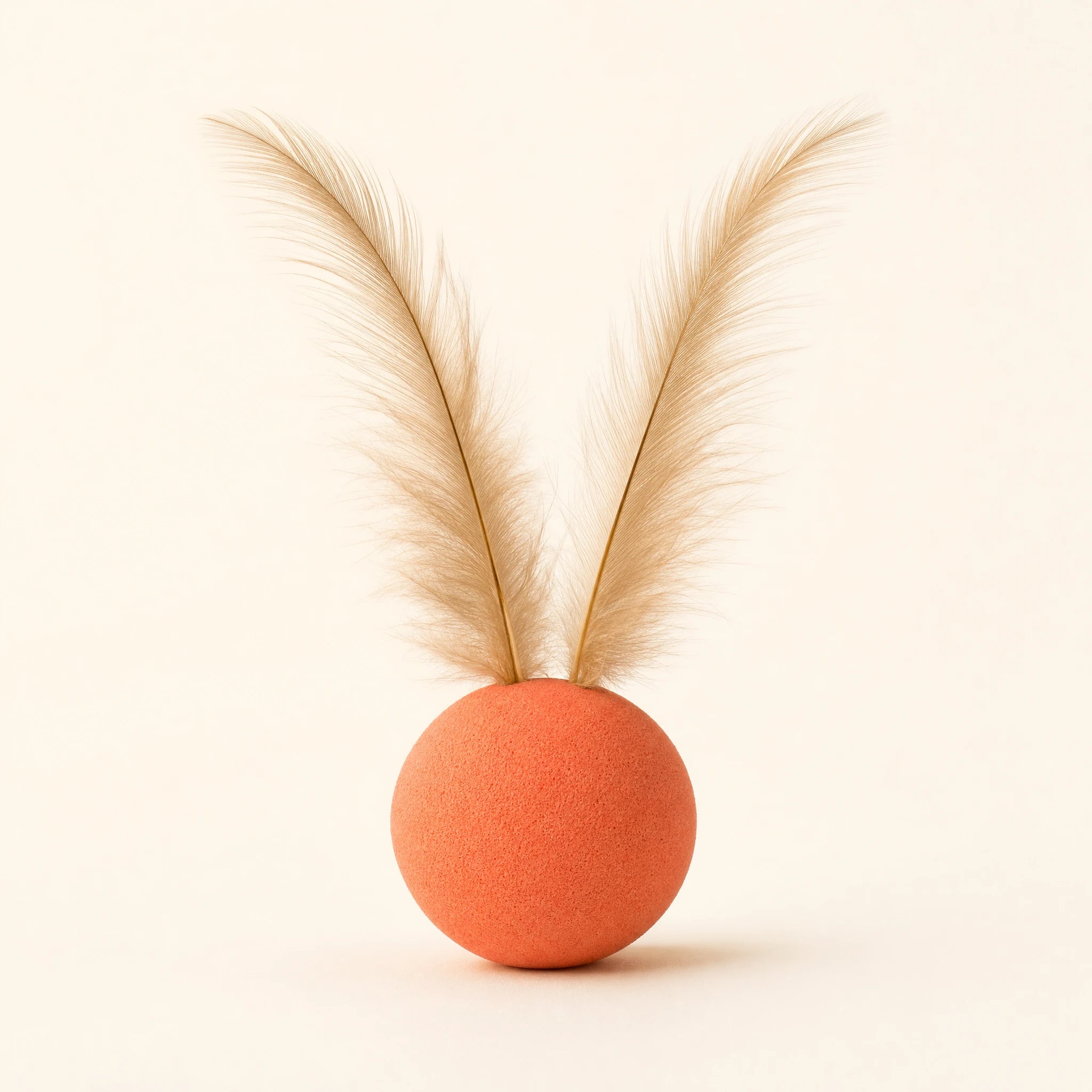 Feather ball pet toy